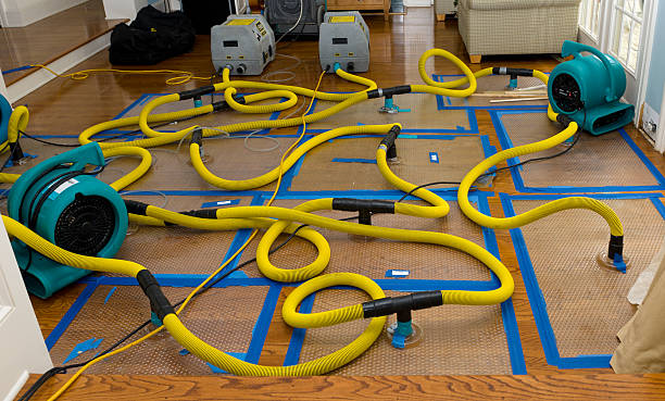 Professional Basement Flood Cleanup technician working in Cresson, TX