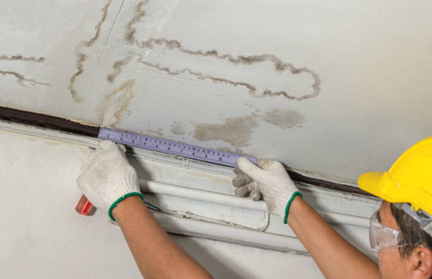 Affordable Basement Flood Cleanup solutions in Cresson, TX